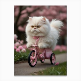 Cute Cat Riding A Pink Tricycle Canvas Print