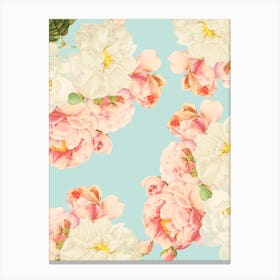 Redoute Summer Roses  Canvas Print