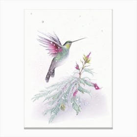 Hummingbird In Snowfall Quentin Blake Illustration Canvas Print