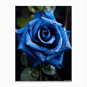 Blue Rose 9 Canvas Print