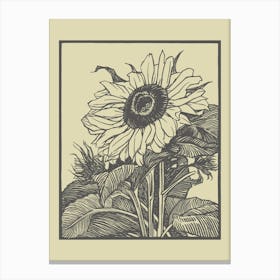 Sunflower Canvas Print