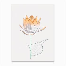 Lotus Flower In Garden Minimal Line Drawing 1 Canvas Print