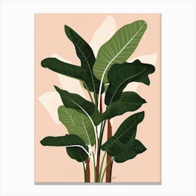 Banana Plant 6 Canvas Print