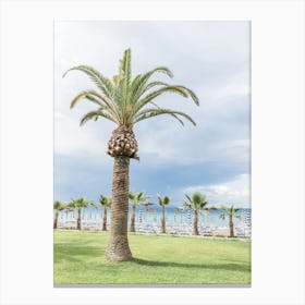 Palm Tree On The Beach Canvas Print