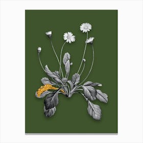 Vintage Daisy Flowers Black and White Gold Leaf Floral Art on Olive Green n.0512 Canvas Print