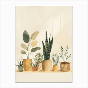 Potted Plants 7 Canvas Print