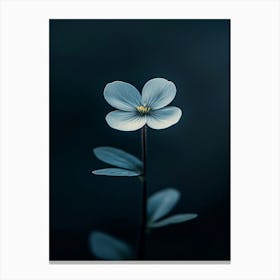 Single Flower 7 Canvas Print