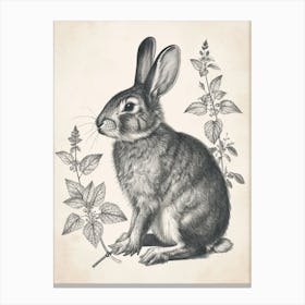 Blanc De Hotot Blockprint Rabbit Illustration 8 Canvas Print