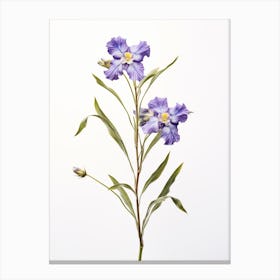 Pressed Wildflower Botanical Art Virginia Spiderwort 1 Canvas Print