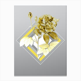 Botanical French Rose in Yellow and Gray Gradient n.430 Canvas Print