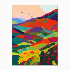 Nahuel Huapi National Park 1 Argentina Abstract Colourful Canvas Print