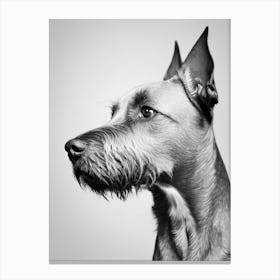 Wirehaired Vizsla B&W Pencil dog Canvas Print