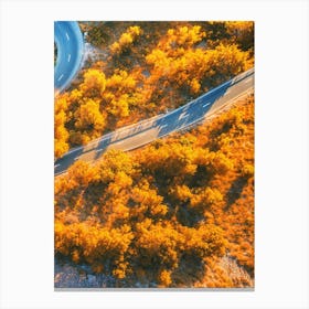 Aerial View Of A Winding Road 1 Canvas Print