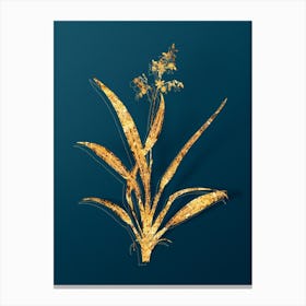 Vintage Flax Lilies Botanical in Gold on Teal Blue Canvas Print