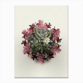 Vintage Clammy Locust Flower Wreath on Ivory White n.2078 Canvas Print