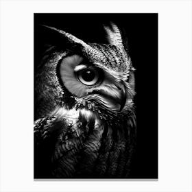 Portrait Of A Owl Canvas Print