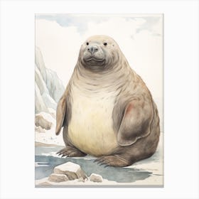 Storybook Animal Watercolour Walrus 1 Canvas Print