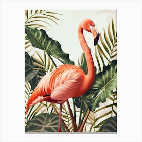 American Flamingo And Alocasia Elephant Ear Minimalist Illustration 4 Canvas Print