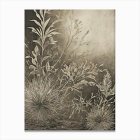 Monochrome Meadow Canvas Print