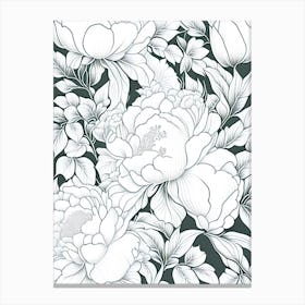 Gardenia Peonies White 1 Drawing Canvas Print