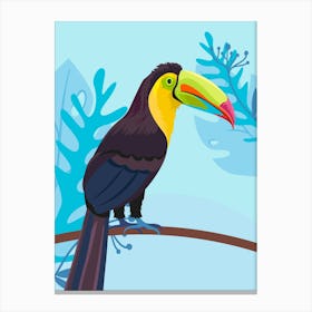 Toucan Canvas Print