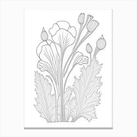 Marshmallow Herb William Morris Inspired Line Drawing Canvas Print