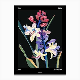 No Rain No Flowers Poster Hyacinth 4 Canvas Print