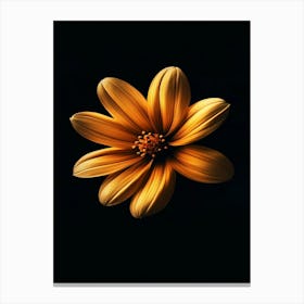 Yellow Flower On Black Background 4 Canvas Print