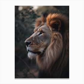 Lion Portrait 1 Canvas Print