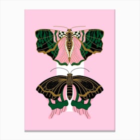 Art Deco Moths 12x16 Canvas Print