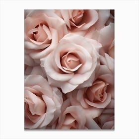 Pink Roses Canvas Print