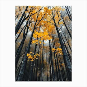 Autumn Forest 6 Canvas Print