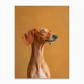 Dachshund. Generated AI. Art Print 6 Lienzo