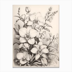 Orchids 2 Canvas Print