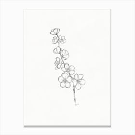 Cherry Blossom Sketch Canvas Print