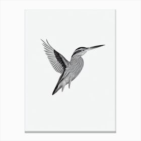 Green Heron B&W Pencil Drawing 3 Bird Canvas Print