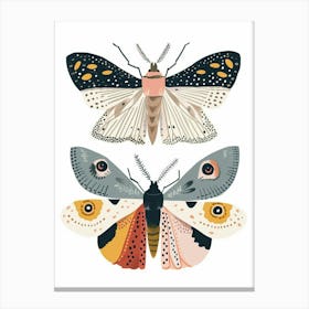 Colourful Insect Illustration Moth 26 Canvas Print