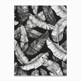 Black And White Banana Leaves 2 Canvas Print