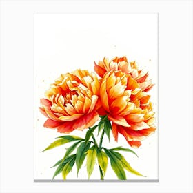 Watercolor Peonies 3 Canvas Print