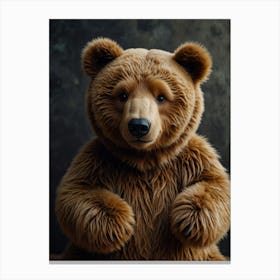 Teddy Bear 9 Canvas Print