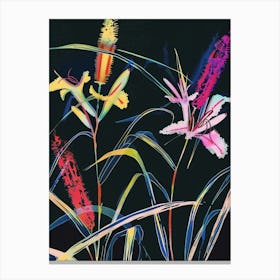 Neon Flowers On Black Fountain Grass 2 Canvas Print