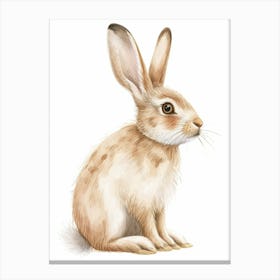Netherland Dwarf Rabbit Kids Illustration 1 Canvas Print