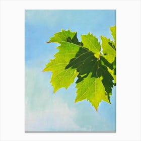 Grape Ivy Bold Graphic Plant Canvas Print