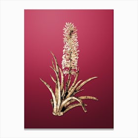 Gold Botanical Snake Plant on Viva Magenta n.0643 Canvas Print