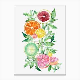 Citrus Fruit Canvas Print