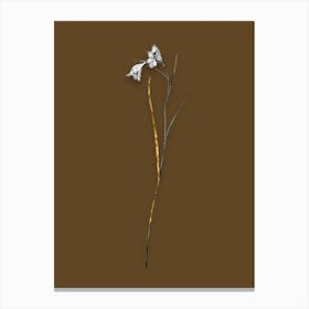 Vintage Blue Pipe Black and White Gold Leaf Floral Art on Coffee Brown n.0679 Canvas Print