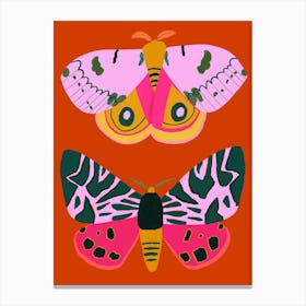 Two Moths Canvas Print