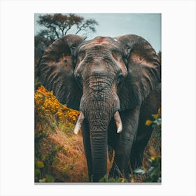 Elephant In The Wild 1 Canvas Print