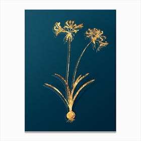 Vintage Nerine Botanical in Gold on Teal Blue Canvas Print