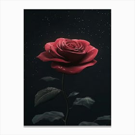 Red Rose 24 Toile